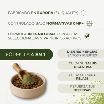 Polvo Dental Natural 4 en 1 − Perros y Gatos (200 gr)