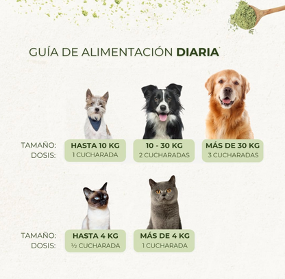 Polvo Dental Natural 4 en 1 − Perros y Gatos (200 gr)