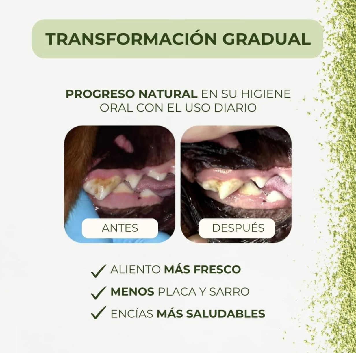 Polvo Dental Natural 4 en 1 − Perros y Gatos (200 gr)