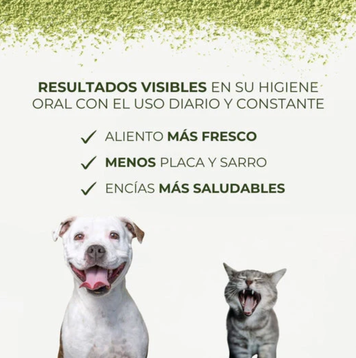 Polvo Dental Natural 4 en 1 − Perros y Gatos (200 gr)