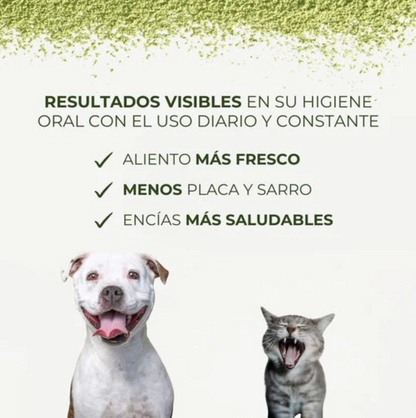 Polvo Dental Natural 4 en 1 − Perros y Gatos (200 gr)